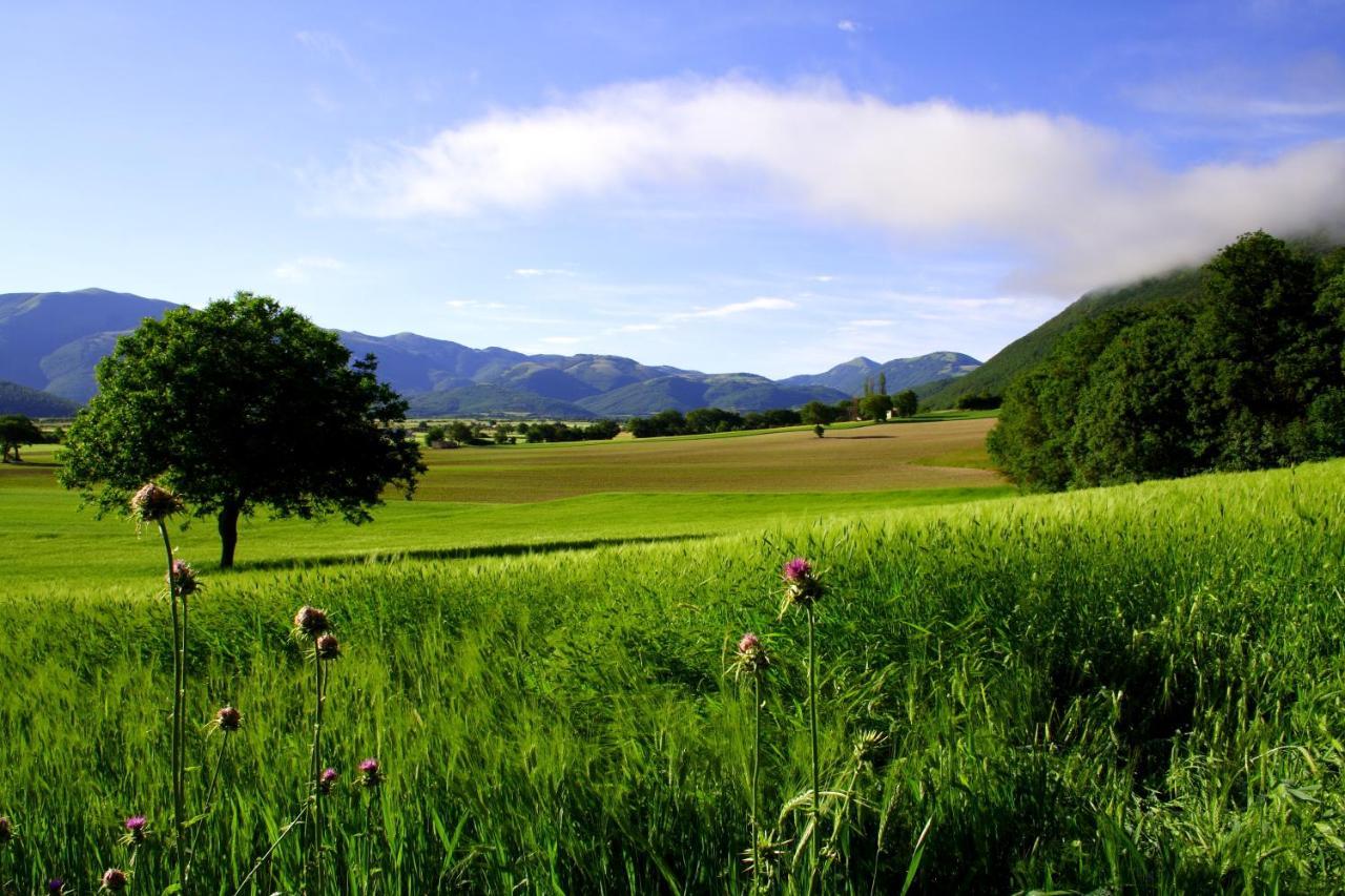 Agriturismo La Cascina Di Opaco Norcia Eksteriør billede