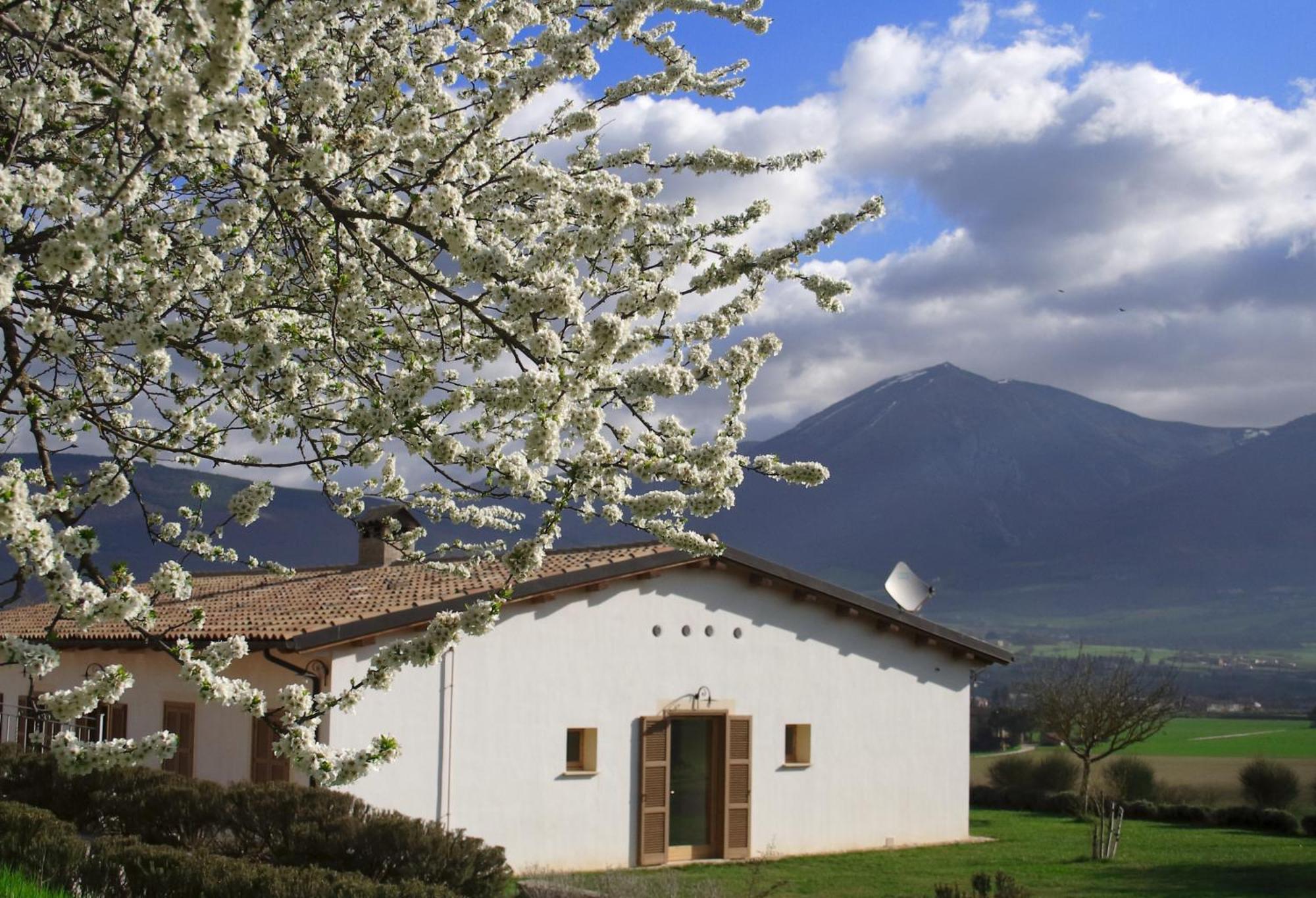 Agriturismo La Cascina Di Opaco Norcia Eksteriør billede